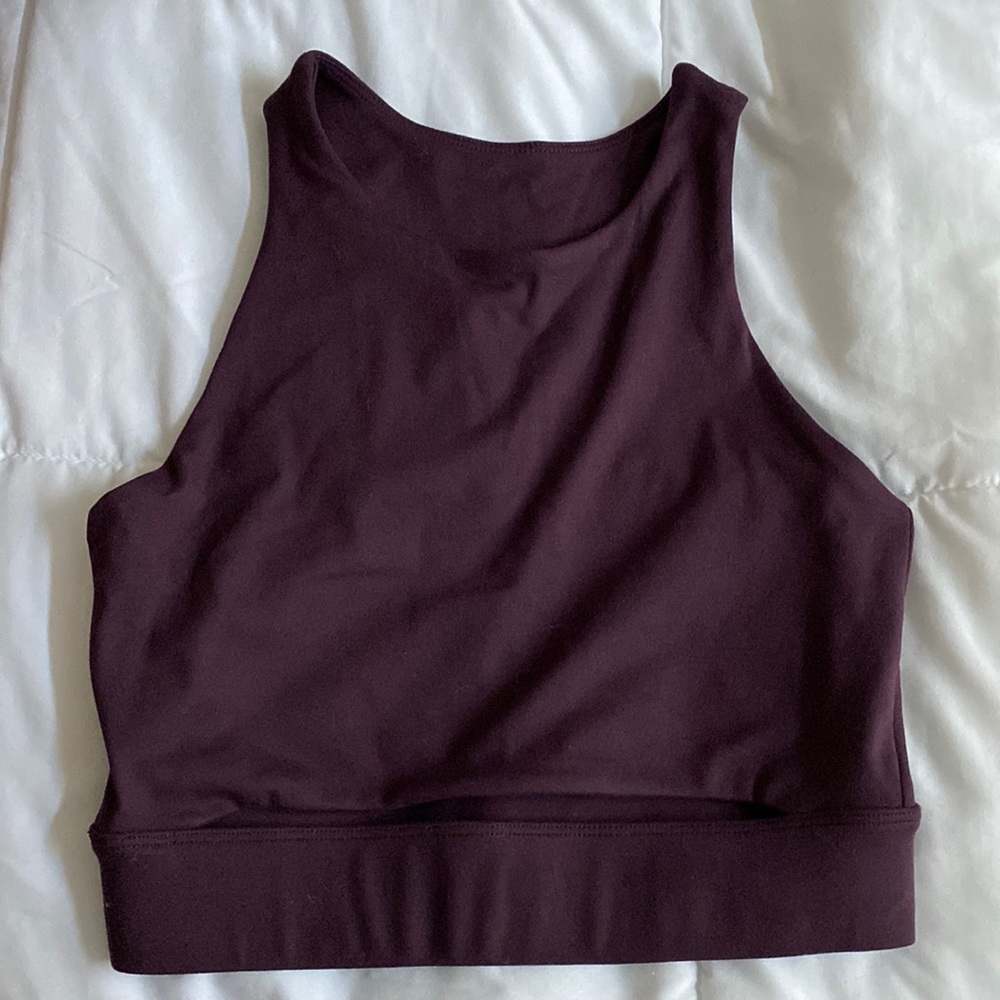 Paragon sports bra